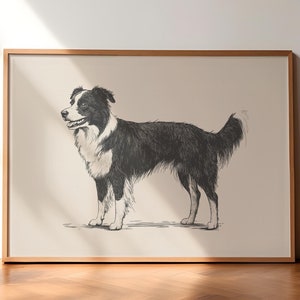 Border Collie Vintage Print, Dog Retro Poster, Dog Art, Antique Vintage Painting, Dog Drawing Art, Border Collie Illustration, Pet Sketch