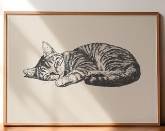 May include: A black and white line drawing of a sleeping cat in a wooden frame. The cat is curled up on its side with its paws tucked under its body.