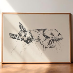 Póster de pastor alemán durmiendo, impresión vintage de perro, arte mural de perro, dibujo vintage antiguo, boceto de perro, ilustración de pastor alemán