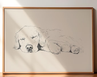 May include: A black and white line drawing of a golden retriever dog sleeping. The dog is curled up on its side with its head resting on its paws. The drawing is on a white background.