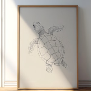 Könnte beinhalten: Eine Schwarzweiß-Zeichnung einer Meeresschildkröte, die schwimmt, gerahmt in einem hellen Holzrahmen.