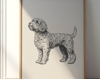May include: A black and white line drawing of a dog in a framed print. The dog is a doodle breed with curly fur and is looking up.