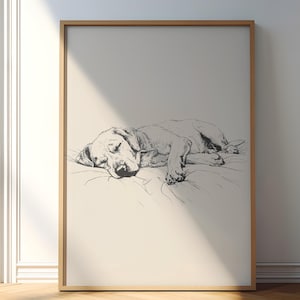 Może przedstawiać: Czarno-biały rysunek liniowy śpiącego psa na łóżku. Pies jest zwinięty w kłębek z głową spoczywającą na łapach.