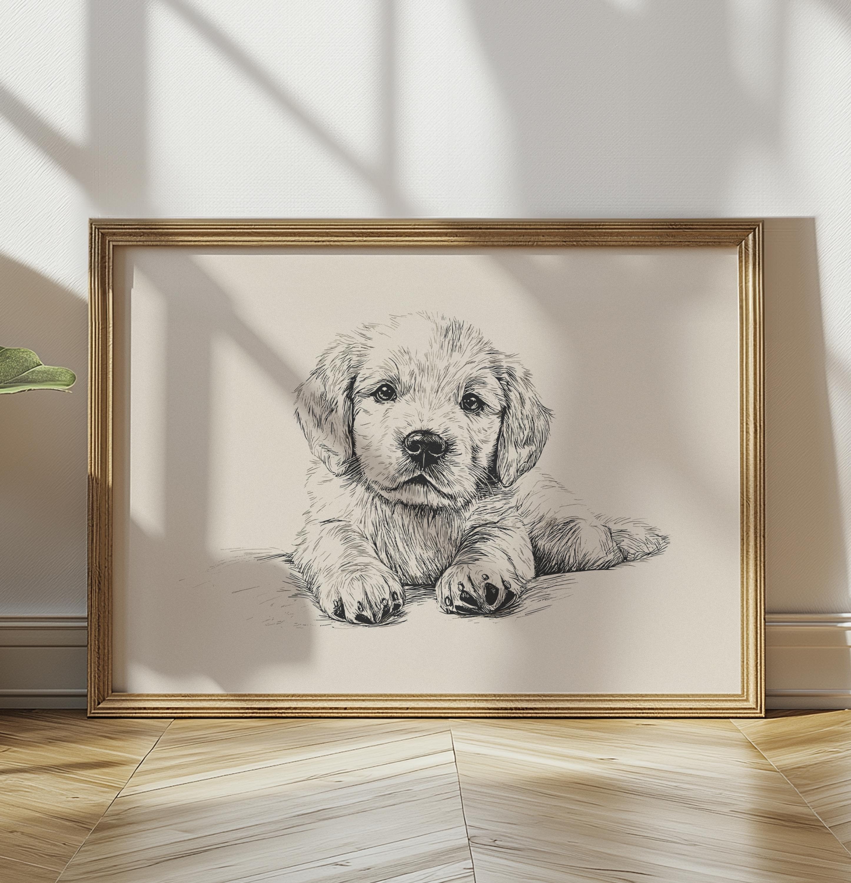 ヴィンテージ　洋書　英語　Yellowpup ゴールデンレトリバー子犬　写真集 ゴールデンレトリバーの子犬のプリント：ヴィンテージ犬の絵（デジタル