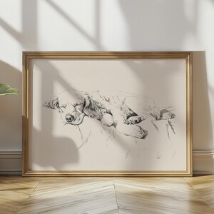 以下が含まれることがあります： 枕の上で眠る犬の白黒線画。犬は丸まって、頭を足の上に置いています。絵は明るい木製の額縁に入っています。