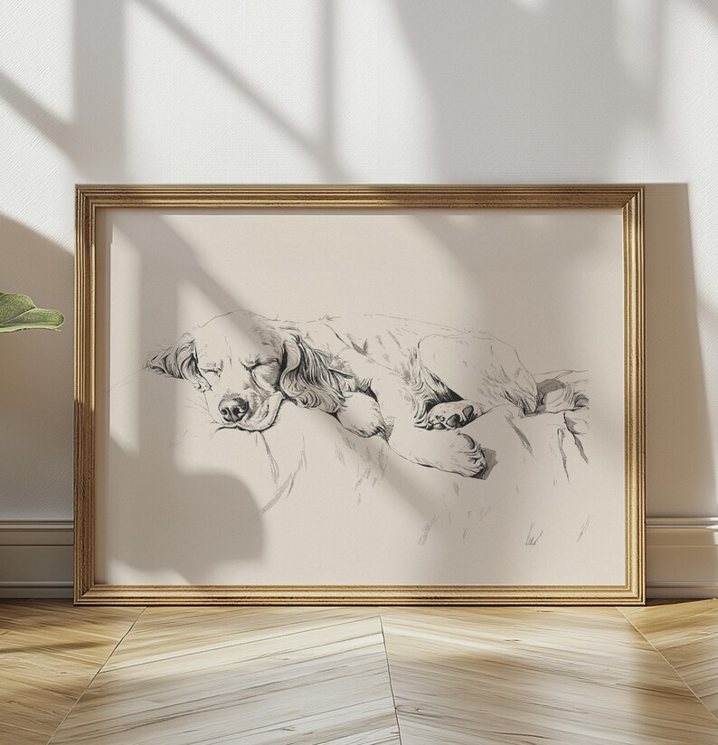 以下が含まれることがあります： 枕の上で眠る犬の白黒線画。犬は丸まって、頭を足の上に置いています。絵は明るい木製の額縁に入っています。