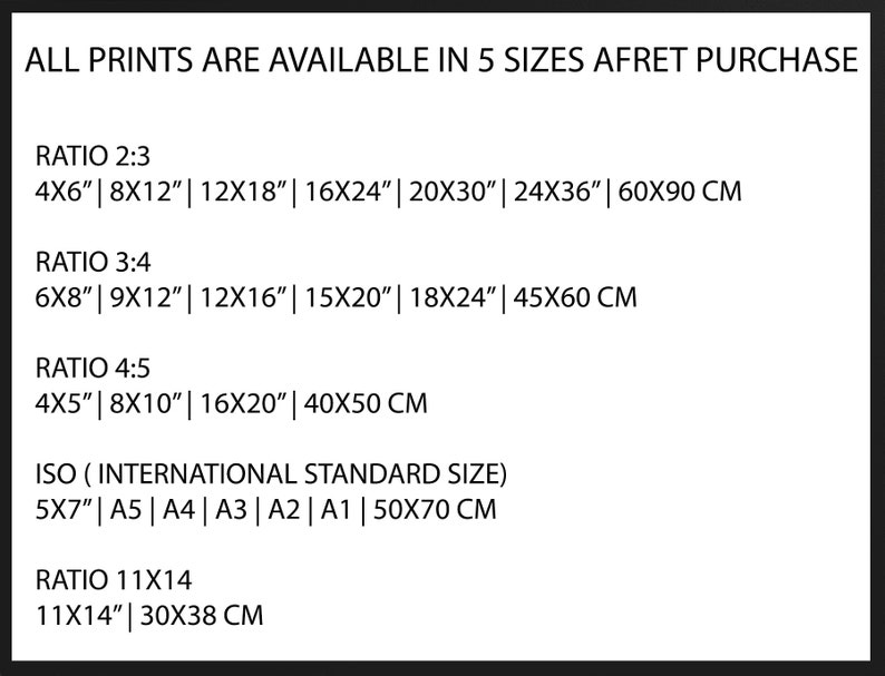 May include: A chart showing the different print sizes available for purchase. The chart lists five different aspect ratios: 2:3, 3:4, 4:5, ISO (International Standard Size), and 11x14. Each ratio lists the available sizes in inches and centimeters.