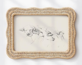 Cocker Spaniel - Regalo de Navidad, Pintura antigua vintage, Impresión retro de perro durmiendo, IMPRESO Y ENVIADO