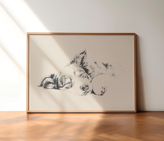 Australian Shepherd Sleeping Print, Dog Vintage Print, Dog Wall Art, Antique Vintage Painting, Dog Drawing Art, Puppy Illustration, Pet Gift