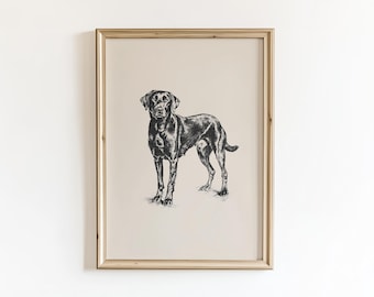 Black Labrador Retriever Poster, Dog Vintage Sketch, PRINTED AND SHIPPED