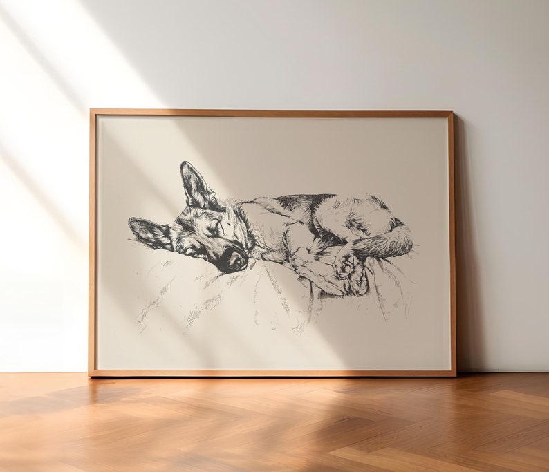 K&ouml;nnte beinhalten: Eine Schwarzwei&szlig;-Zeichnung eines schlafenden Deutschen Sch&auml;ferhundes, der sich auf einem Bett zusammengerollt hat.