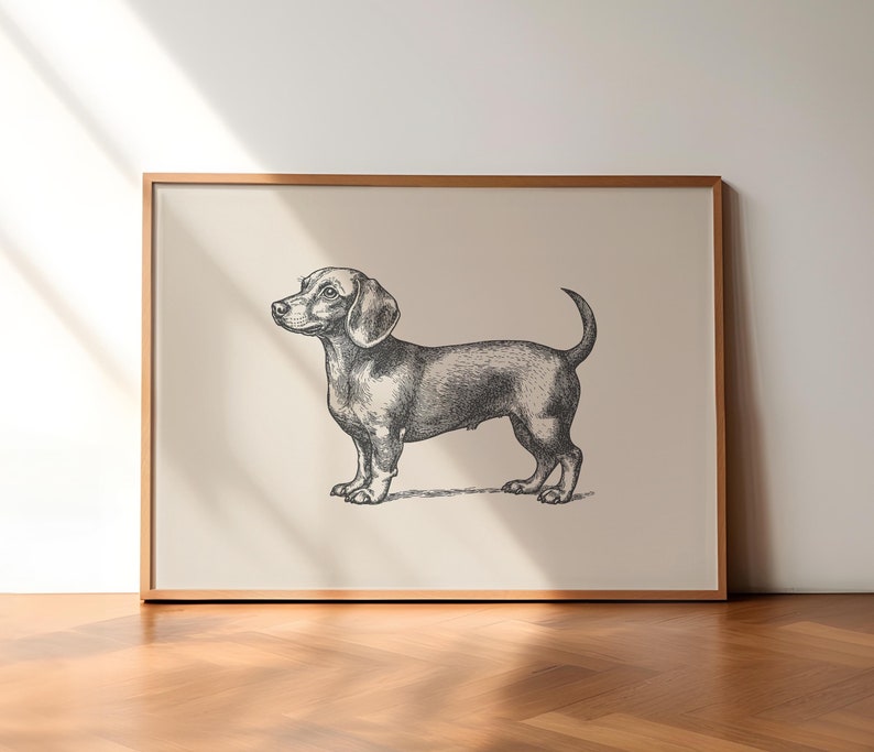 Peut inclure: Illustration encadr&eacute;e en noir et blanc d'un chien teckel. L'&oelig;uvre est un dessin d&eacute;taill&eacute; de style gravure, sur fond neutre. Le cadre est en bois naturel et chaleureux, ajoutant une touche classique &agrave; l'ensemble.