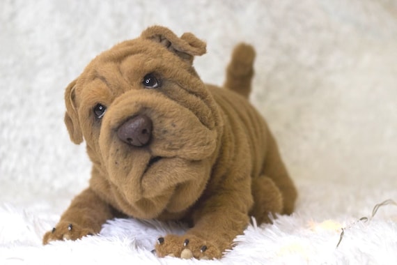 stuffed shar pei