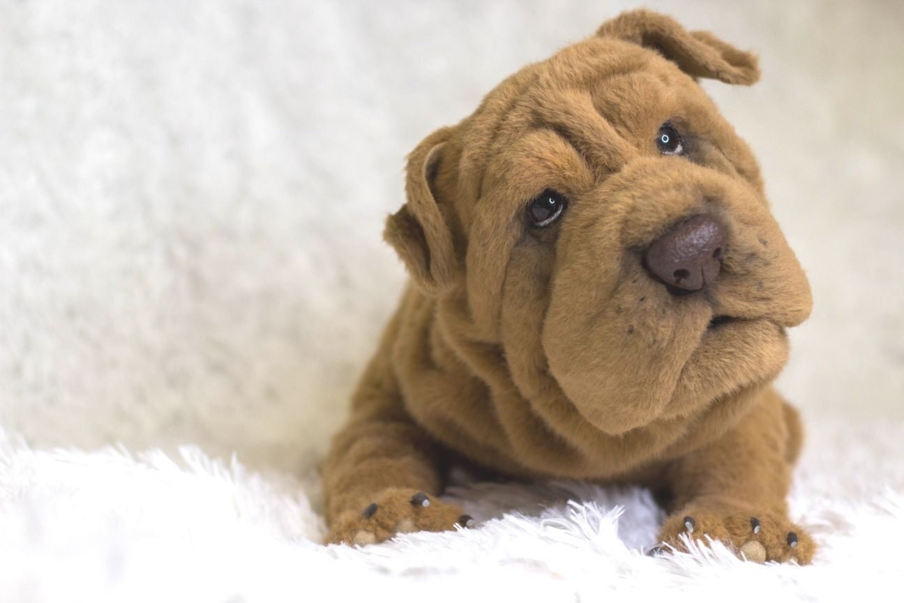 shar pei plush