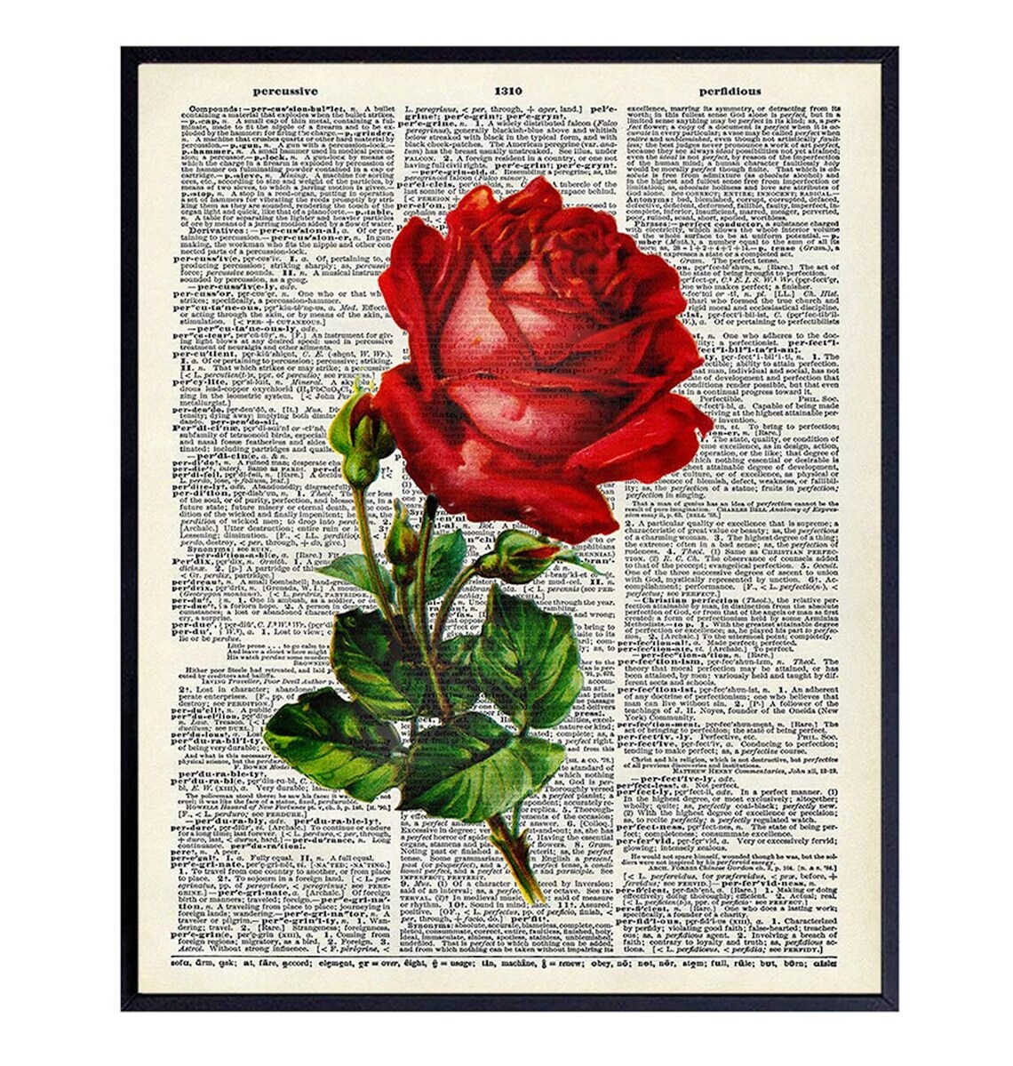 Red Rose Wall Art Print on Dictionary Photo Unframed Etsy UK
