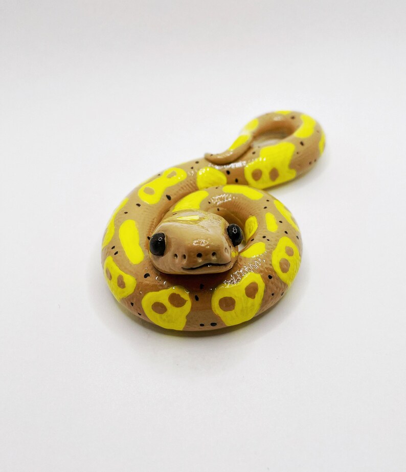 Ball Python Figurine Ball Python Art Snake Art Snake Decor - Etsy