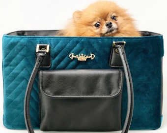 teacup dog accessories