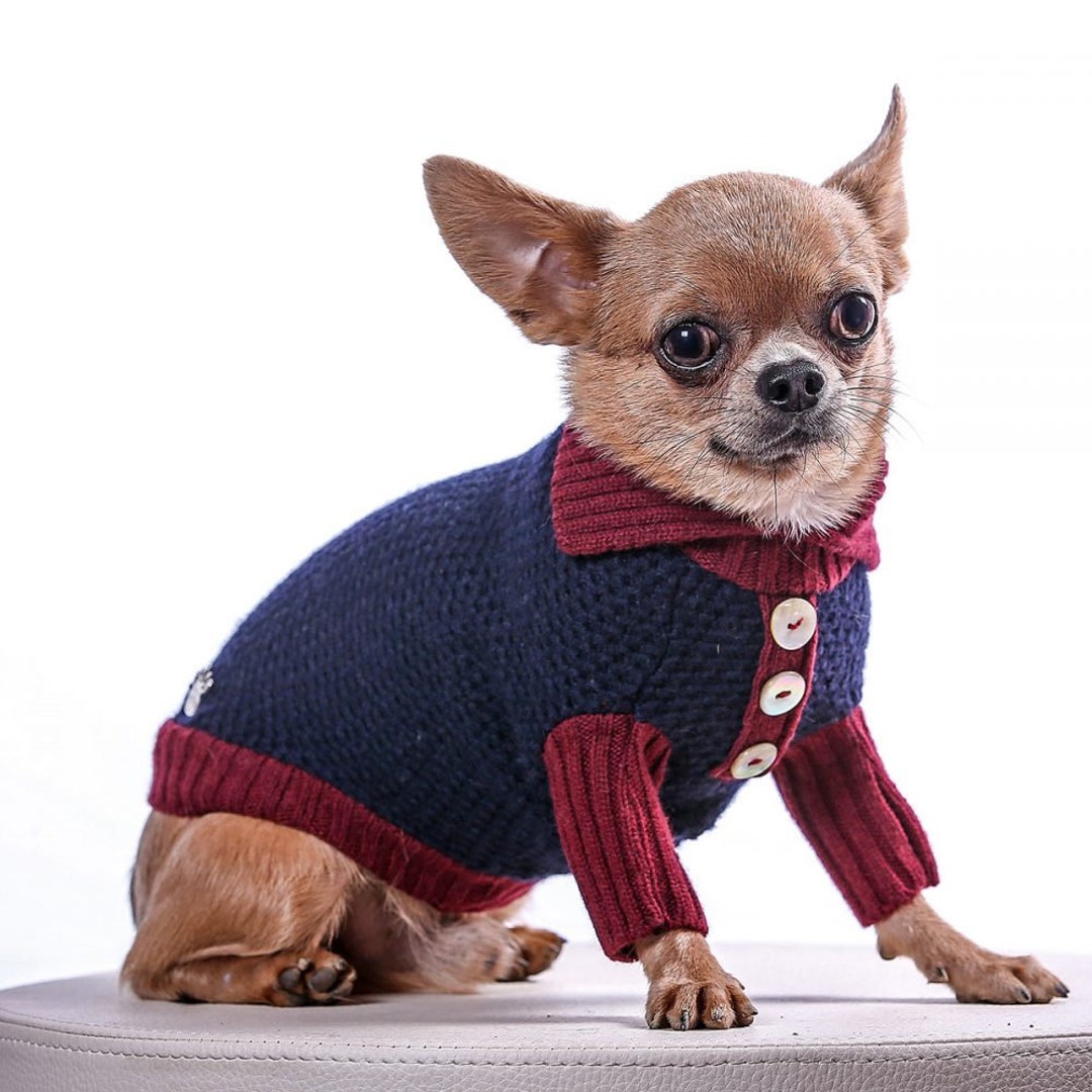 Teacup Dog Sweater / Winter Dog / Small Dog Sweater / Prince and