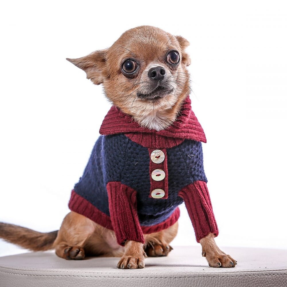 Teacup Dog Sweater / Winter Dog / Small Dog Sweater / Prince and