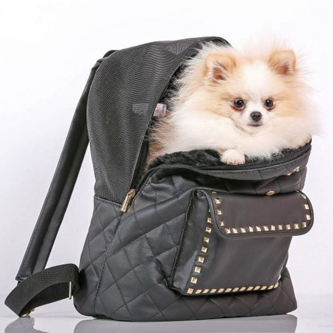 Dog Backpack / Small Dog Backpack / Backpack / Prince and Etsy