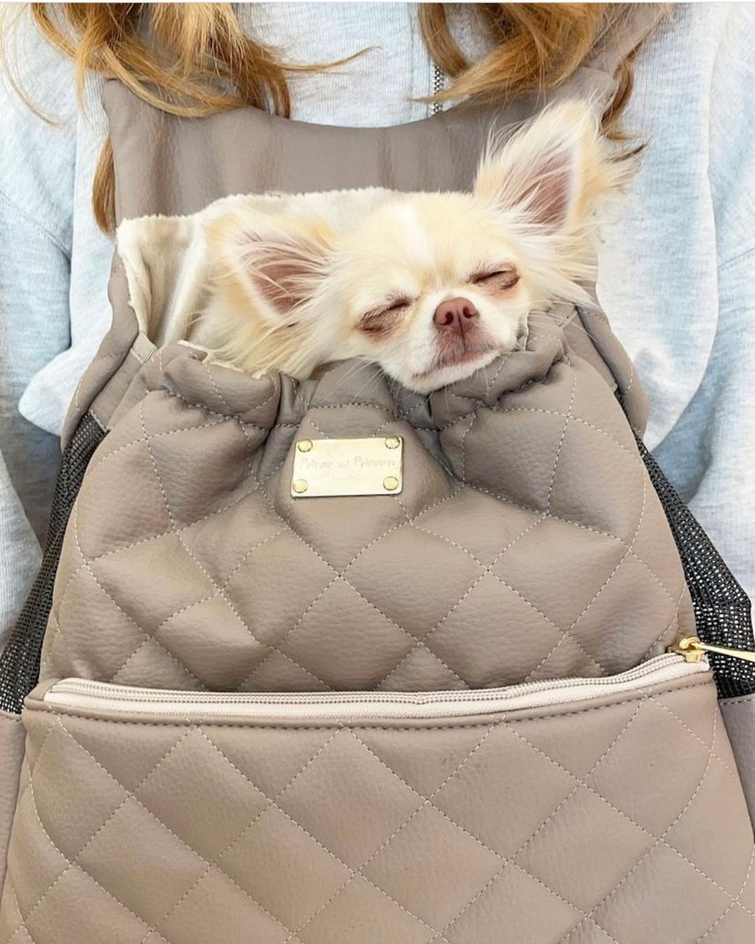 Beige Small Dog Pouch / Small Dog Pouch Bag / Dog Tote / Dog Carrier