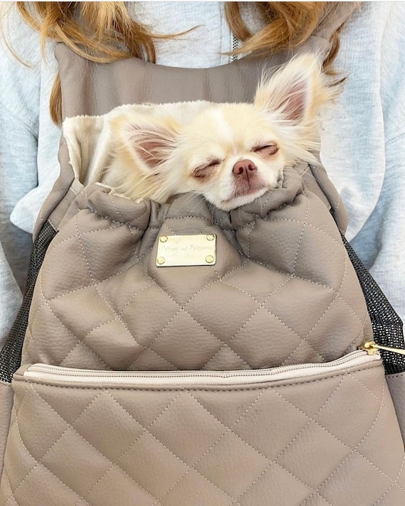 Amazon.com : ONECUTE Small Dog Carrier Bag with Pockets, Soft Sided  Collapsible Puppy Travel Carrier (Beige) : Pet Supplies