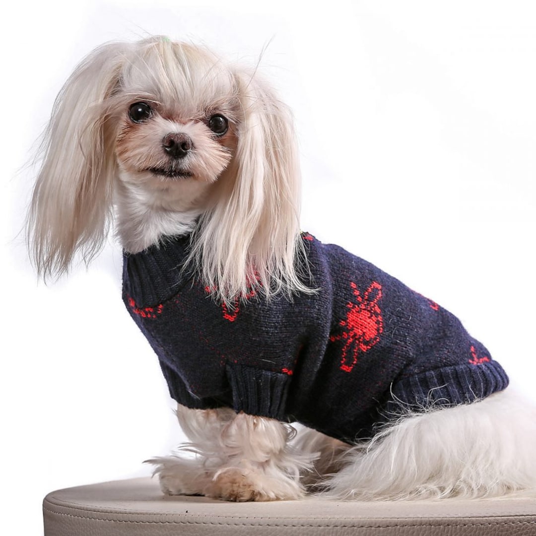 Teacup Dog Sweater / Lucky Bee / Small Dog Sweater / Prince and