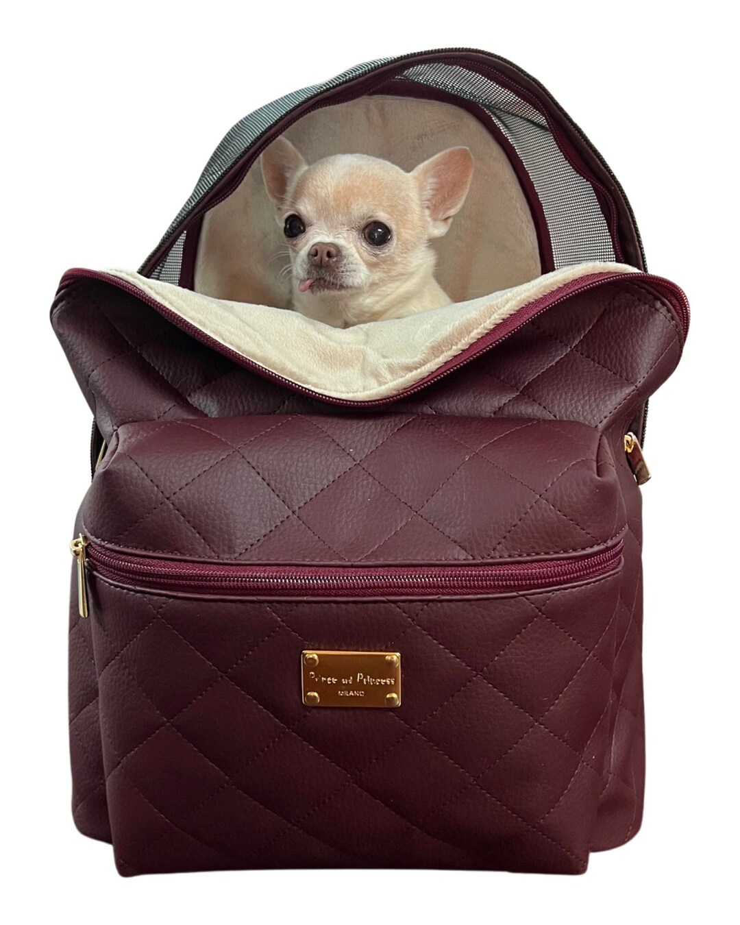 Dog Backpack / Small Dog Backpack / Backpack / Prince and Princess