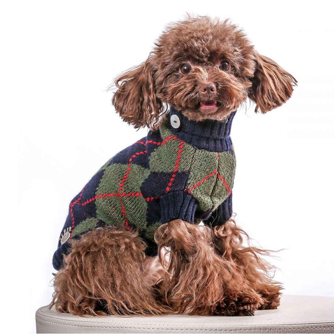 Teacup Dog Sweater / Teacup Puppy / Cashmere Sweater / Small Dog