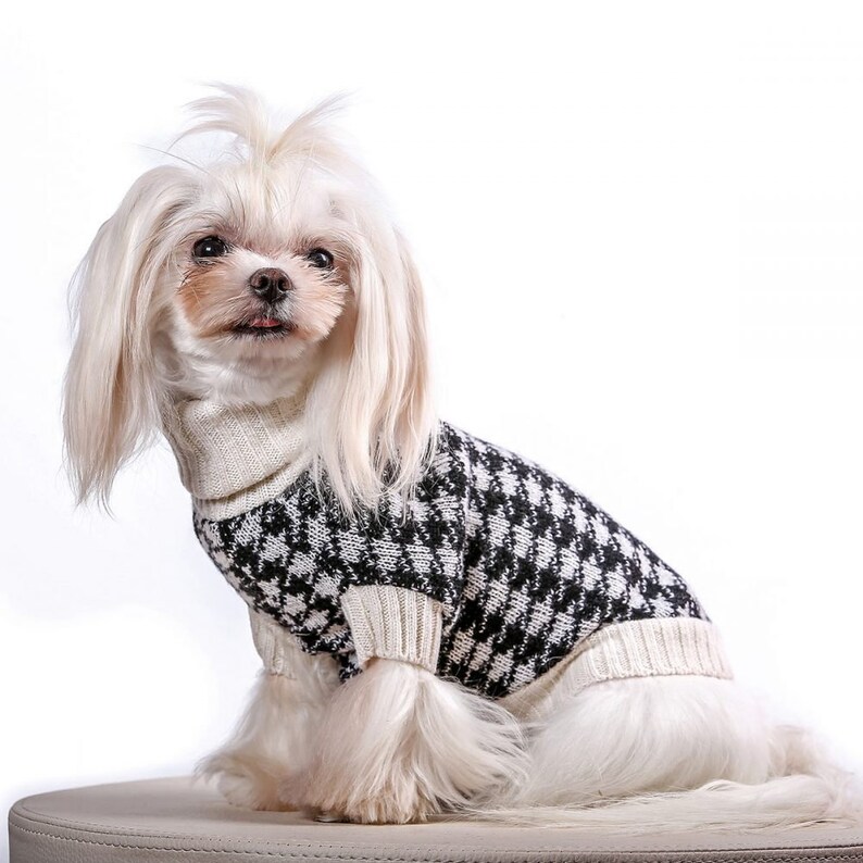 Teacup Dog Sweater / Winter Dog / Cashmere / Small Dog / Etsy