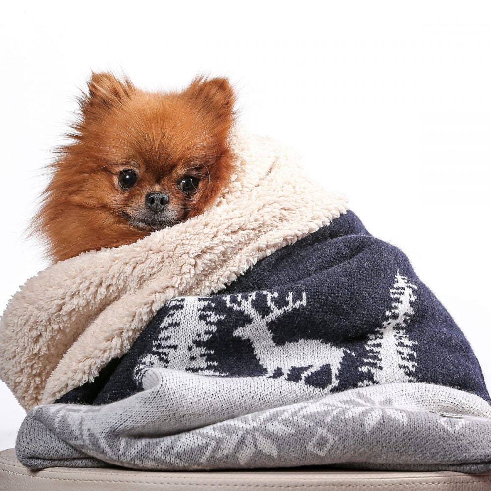 Canine coddler blanket online