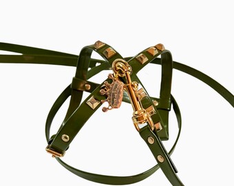 Green Dog Harness and Plain Leash Set / Boy Dog Harness / Puppy Harness / Small Dog Harness / Prince and Princess / Holiday Harness