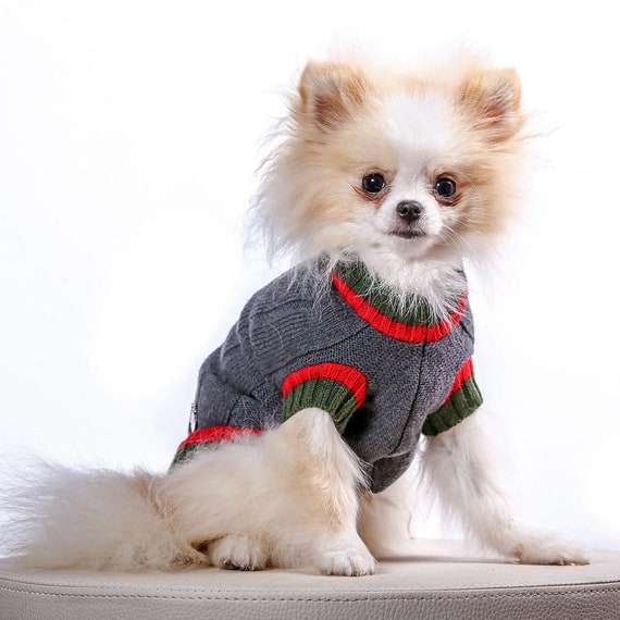 Teacup puppy clothes top