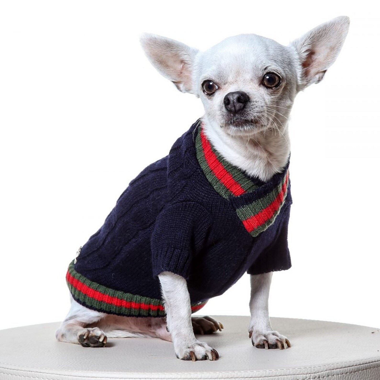 Teacup Dog Sweater / Winter Dog / Small Dog Sweater / Prince Etsy