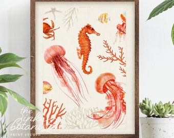 Vintage Style Seahorse Poster, Nautical Plate Chart Print, Sea Life Wall Art, Jellyfish Poster Print, Ocean Illustration Print, Red Orange