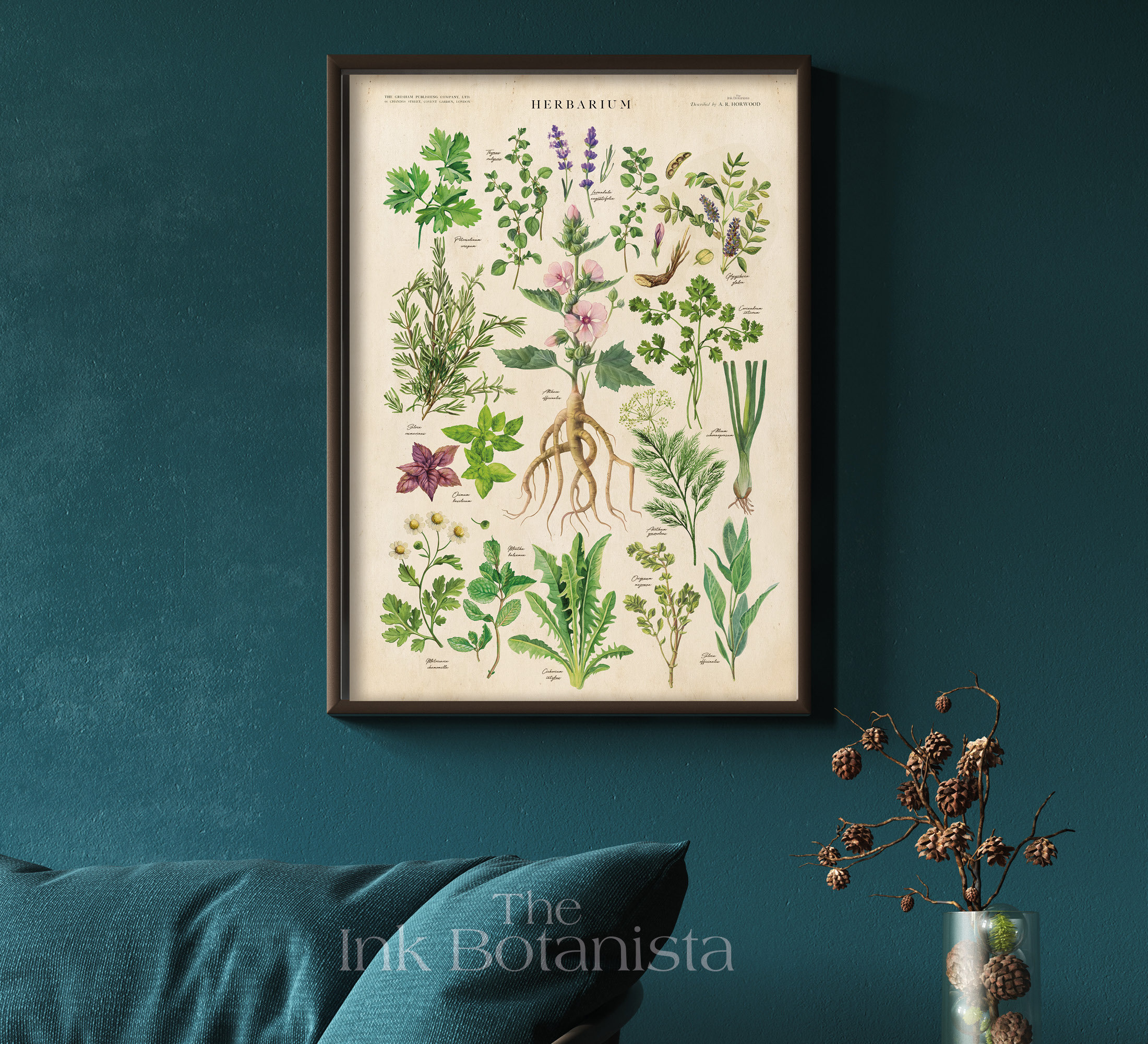 Vintage Herbs Print Herbs Chart Botanical Poster Kitchen Etsy