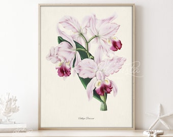 Purple Lily Flower Print Poster, Vintage Botanical Wall Art, Antique Botanical Print, Botanical Illustration, White Lily Flower Art Print