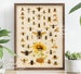 Bees Vintage Style Print, Bees Wall Chart, Wasps Chart, Bee Types Print, Bees Poster, Insects Poster, Bee Gift, Honey Wall Art, Kitchen Art 
