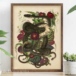 Snakes and Roses Print, Vintage Botanical Print, Witchy Wall Art, Snake Poster, Witch Decor, Snakes Print, Dark Nature Print, Collage
