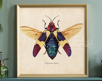 Yellow and Purple Beetle Print, Insect Wall Art Poster, Square Botanical Print, Insect Type Illustration Print, Room Decor, Green Room Art