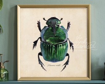 Green Beetle Print, Insect Wall Art Poster, Square Botanical Print, Insect Type Illustration Print, Green Scarab Room Decor, Green Room Art