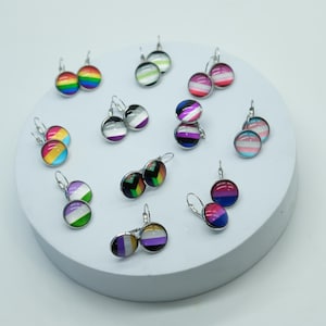 May include: A collection of dangle earrings featuring various pride flags, including the rainbow, transgender, bisexual, and non-binary flags. The earrings are silver with a round glass cabochon.