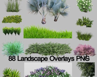 Landschaft Overlays, Photoshop-Overlays, Gras-Overlays, Baum-Overlays, Pflanze Overlays, Blume Overlays, Landschaft, digitaler Download, PNG