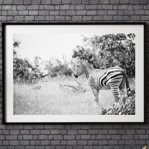 Zebra Art Print - Unique Fine Art Photography - Safari Animal Wall Art - Wildlife Lover Gift - African Home Décor - Living Room Decoration