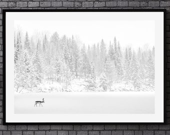 Deer Photography, Snow Buck Wall Art, Black And White Winter Wall Art, Animal Prints, Snow Pine Photography, Minimalist Wall Art, Home Gifts