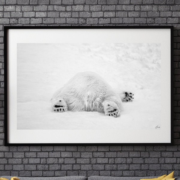 Polar Bear Print, Animal Photography, Unique Fine Art Photography, Wildlife Photography, Modern Home Wall Art, Winter Photography, Canada