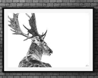 Buck Print, Unique Fine Art Photography, Reindeer Wall Art, Black And White Photography, Mural Art Decor, Artistic Photography, Deer Poster