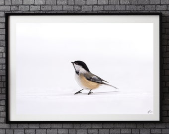 Chickadee Bird Fine Art Photography Print, Minimalist Wildlife Decor