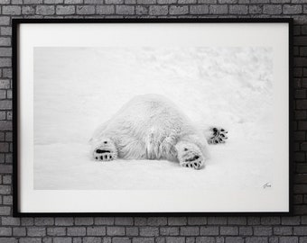 Wildlife Photography | Animal Wall Art | Polar Bear Wall Decor