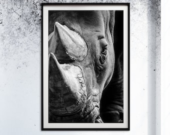 Portret nosorożca – czarno-biała fotografia artystyczna